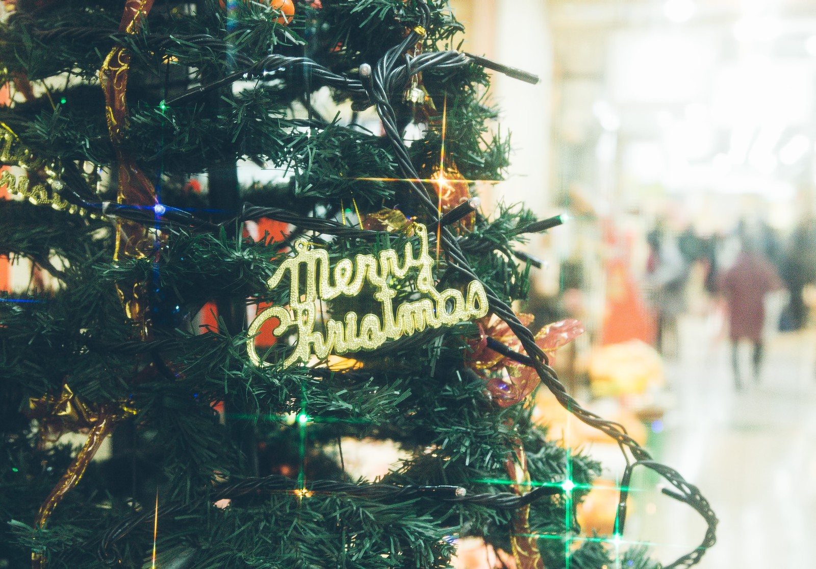 家庭用クリスマスツリーを格安でレンタルするなら・・・ | 役に立つと